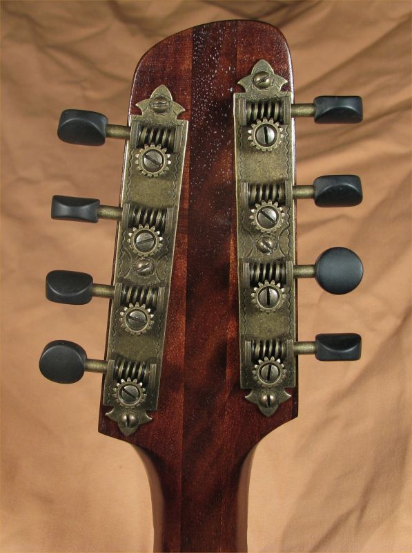 laughlin mandolin